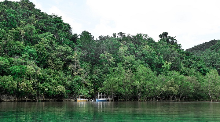 Sipalay